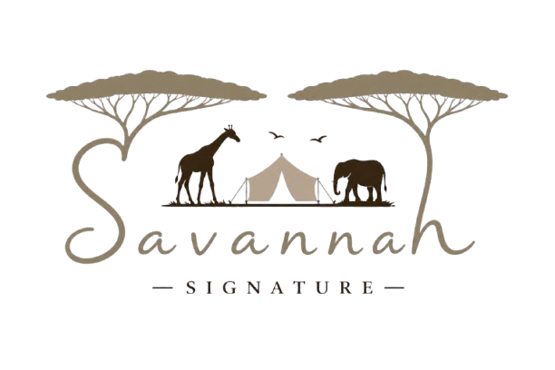 Savannah Experiences